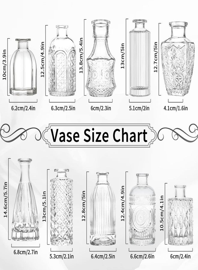 INFTYLE Glass Bud Vase Set of 12,Small Mini Clear Bud Vases in Bulk,Vintage Bud Vase,Glass Bottles Vase for Home Decor, Wedding Centerpieces Table Decor,Floral Arrangements,Dinning - Image 5